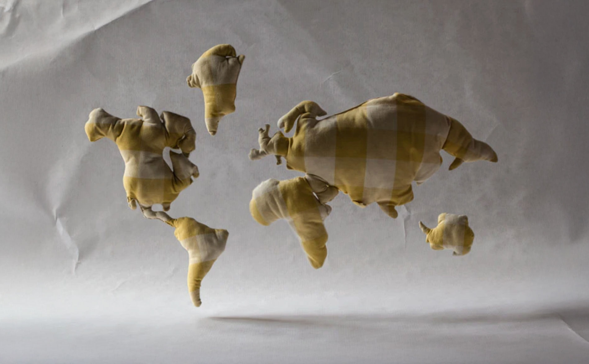 Proyecto de identidad visual